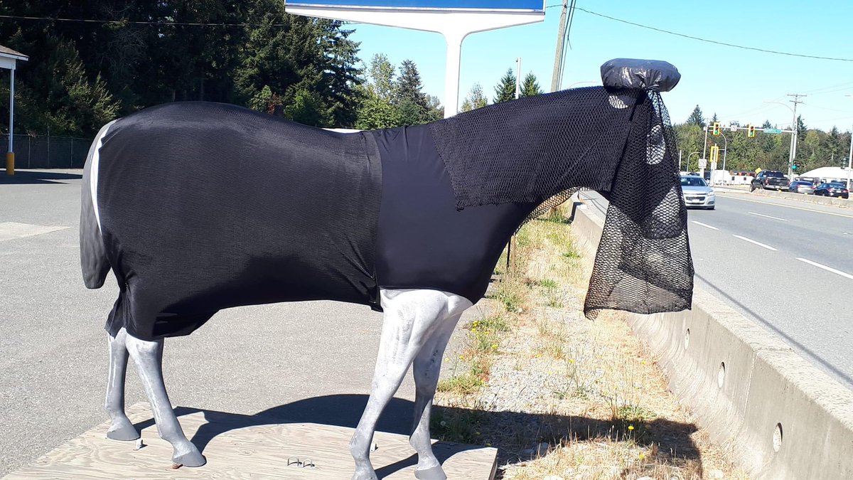 RyanLmark's tweet photo. Pic from a family friend on #VancouverIsland of Cantelope the horse, who’s in mourning of #QueenElizabethIl. The statue is in front of The Trading Post feed & tack Ltd. in #CassidyBC #VanIse https://t.co/QCERjtBqGv