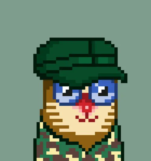 TheGoCat_Nft's tweet photo. #BREAKING NEW Please Check out and buy this item on OpenSea 🥰

https://t.co/0QVIarWAkV 

via @opensea #opensea #NFTcollections #NFTGiveaway #NFTsales #ETH #CryptoNews #Crypto #btc #cat #Twitter wendy walters  Dewan Kolonel PayPal #SECRET_NUMBER BTS PAVED THE WAY #DITA #Etherum https://t.co/7XqOViMkMw