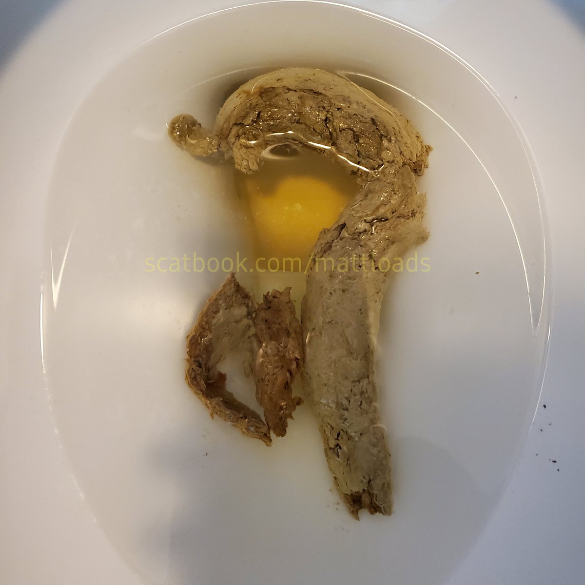 MattLoads1's tweet photo. #scatmaster #scatfeeder #scatplay #shitfeeder #gayscat #scatgays #scatboys #scateater #scat https://t.co/QYTUASpPth