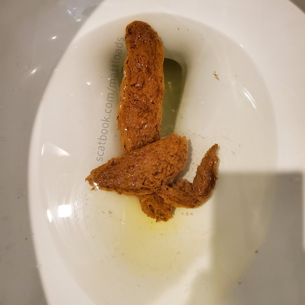 MattLoads1's tweet photo. #scatmaster #scatfeeder #scatplay #shitfeeder #gayscat #scatgays #scatboys #scateater #scat https://t.co/zxmuQVOWQG