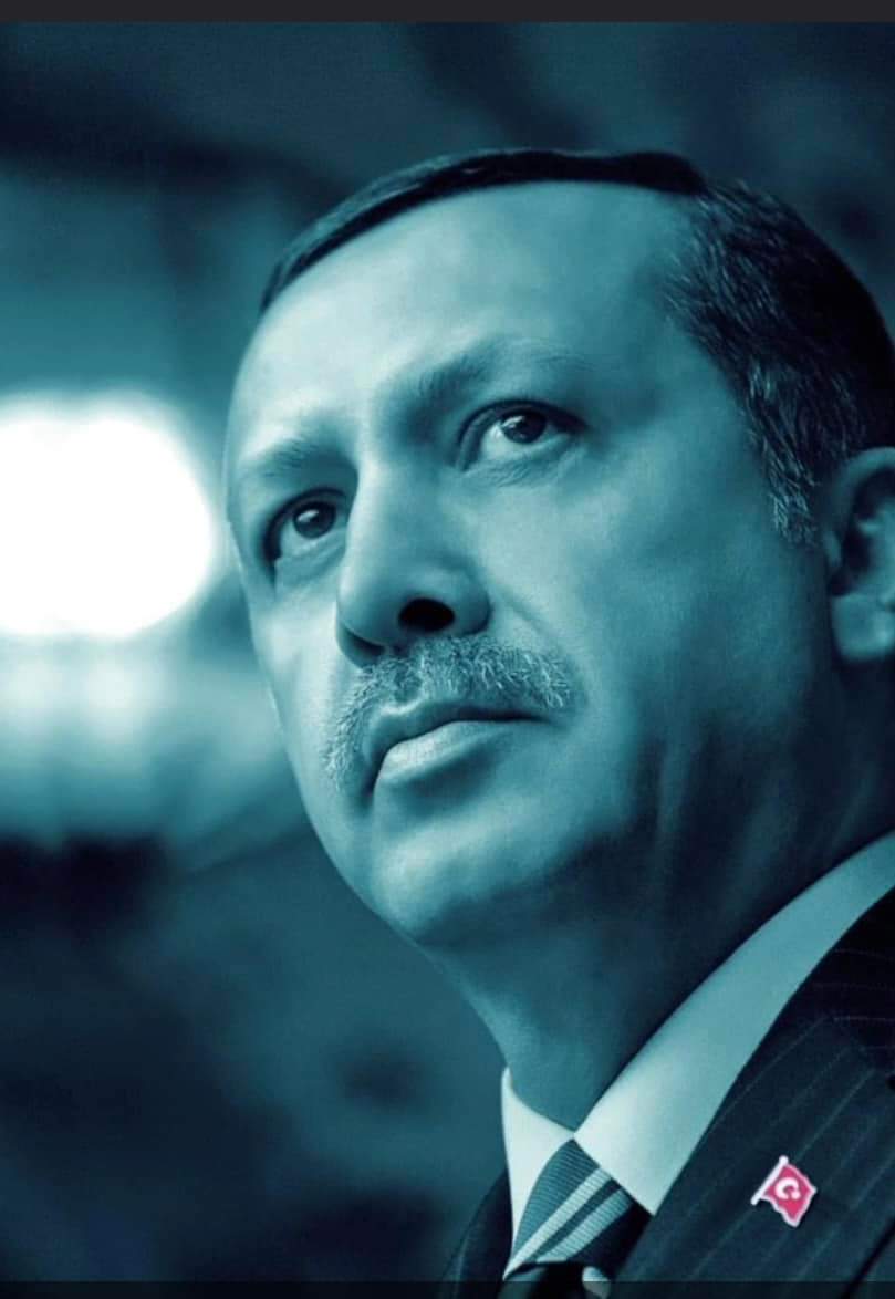Vatan_0666's tweet photo. BEN ERDOĞAN https://t.co/azSRKRC63K