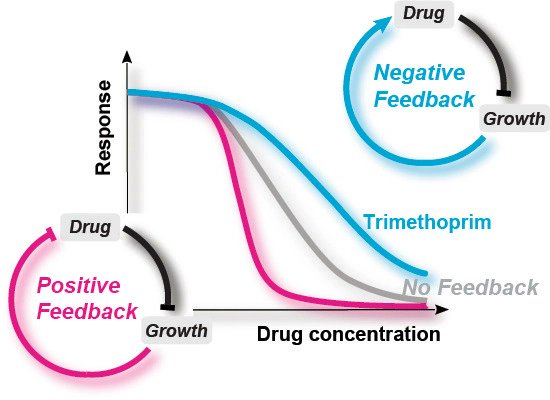 The shape of dose-response curves has lots more to tell about drugs' MoA and cellular responses than just potency (i.e. IC50). This beautiful work by the Bollenbach lab highlights the role of negative and positive feedback via the cellular growth rate for antibiotics in E. coli. https://t.co/ofFL3ZQtz6