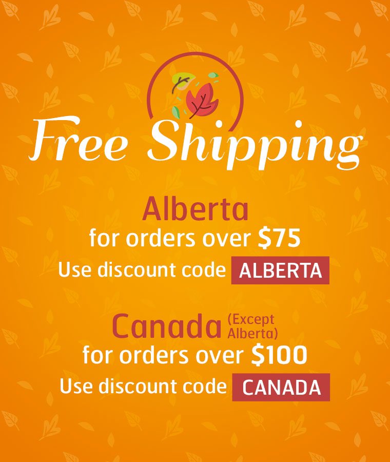 Master Chocolat tweet media