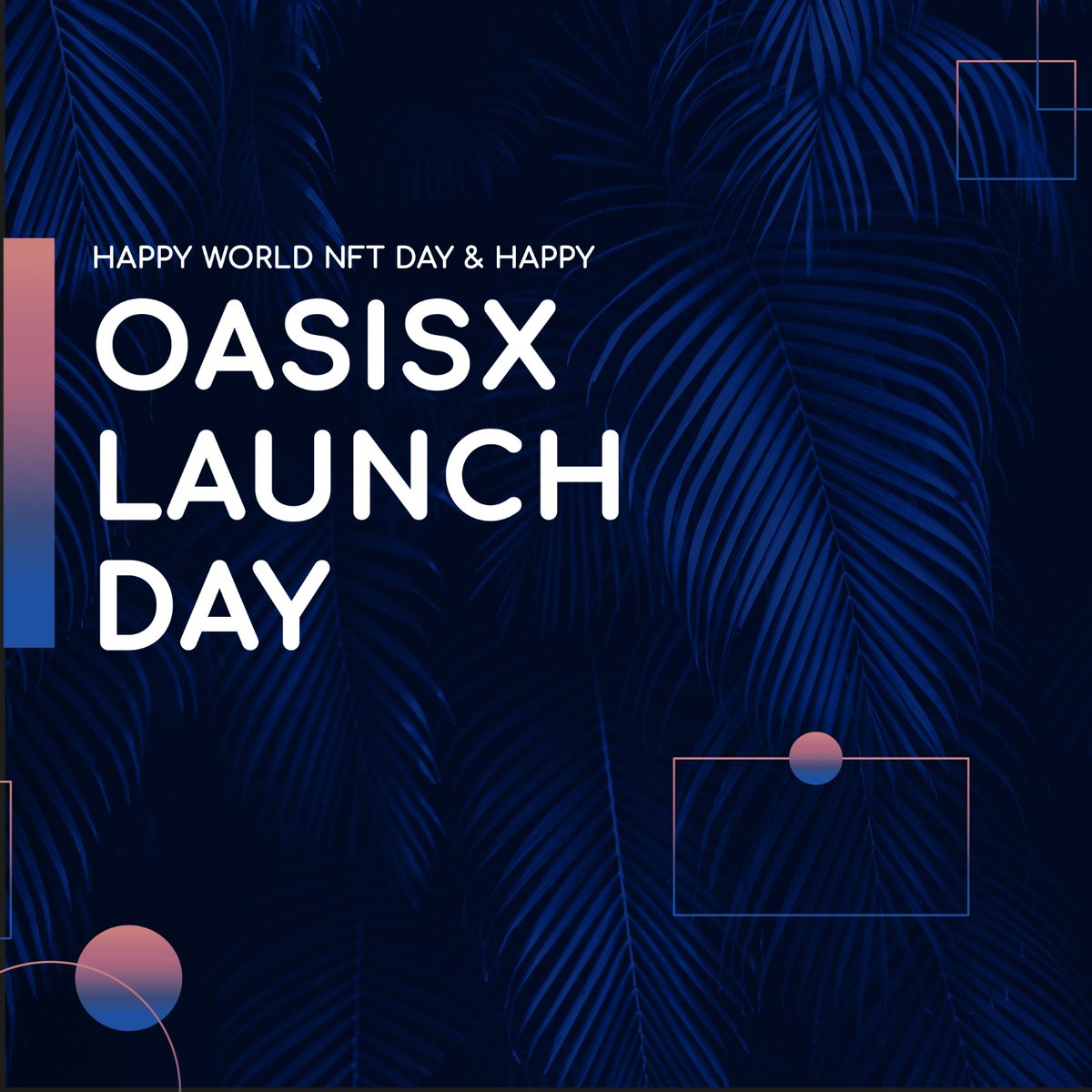 oasisxworld's tweet photo. Happy international NFT day and Happy OasisX Launch day 🌴✖️

OasisX is now live! 
https://t.co/GlGdpRt2ud

Xplore, Xperience, Xchange, and let us know what you think! 

#nftmarketplace #web3 #digitalart https://t.co/15erOBTnbY