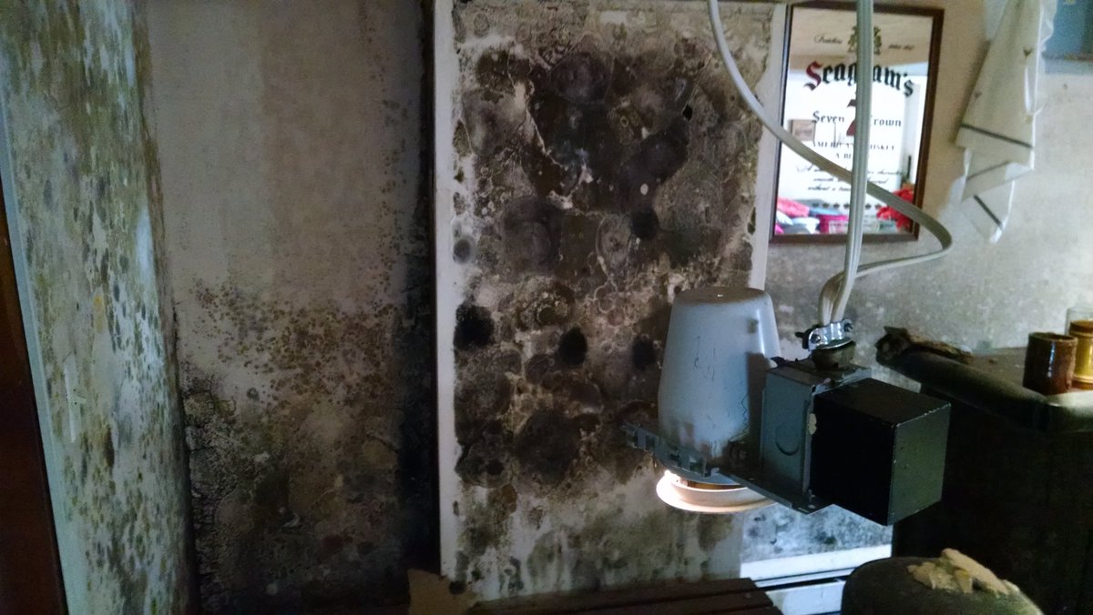 Let's talk MOLD 🤢😷 This house should have been knocked down and not inspected. #homeinspector
 #warren #shorthills #berkeleyheights #homeinspection #westfield #firsttimehomebuyer #buyingahome #Google #Millburn #inspection  #northplainfield  #TerraHomeInspections #mold #toxic