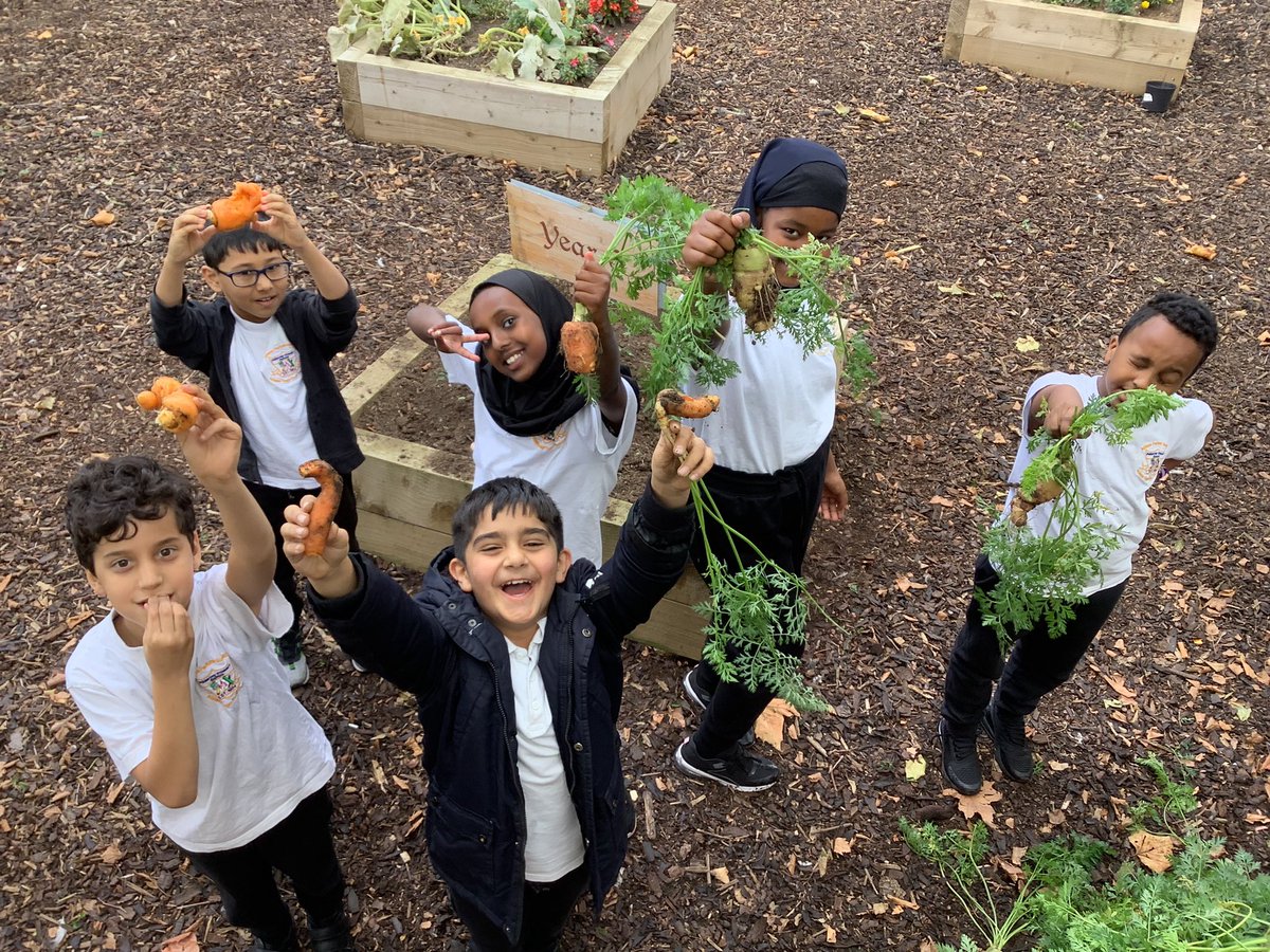 AdderleySchool's tweet photo. Our children have been enjoying harvesting and eating the produce from our school allotment today! 🥕 @UNICEF_uk @BirminghamEdu @healthybrum #FruitAndVeg #YoungGardeners #LearningOutsideOfTheClassroom https://t.co/SriewqjYrk
