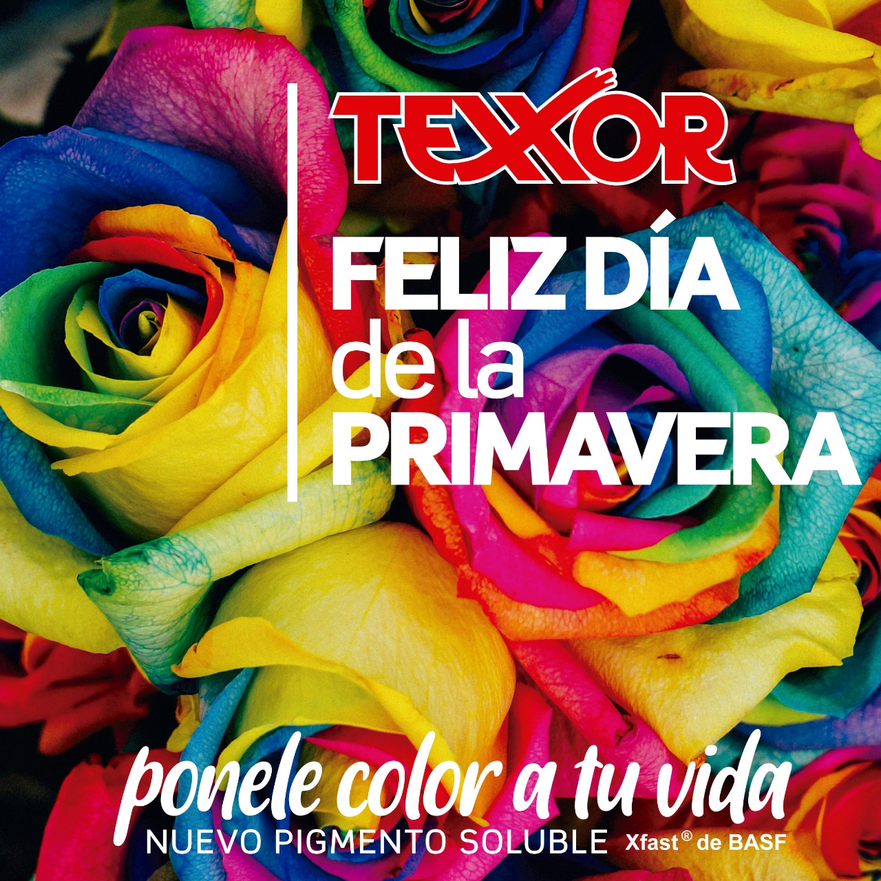 TEXXOR PINTURAS on Twitter: 