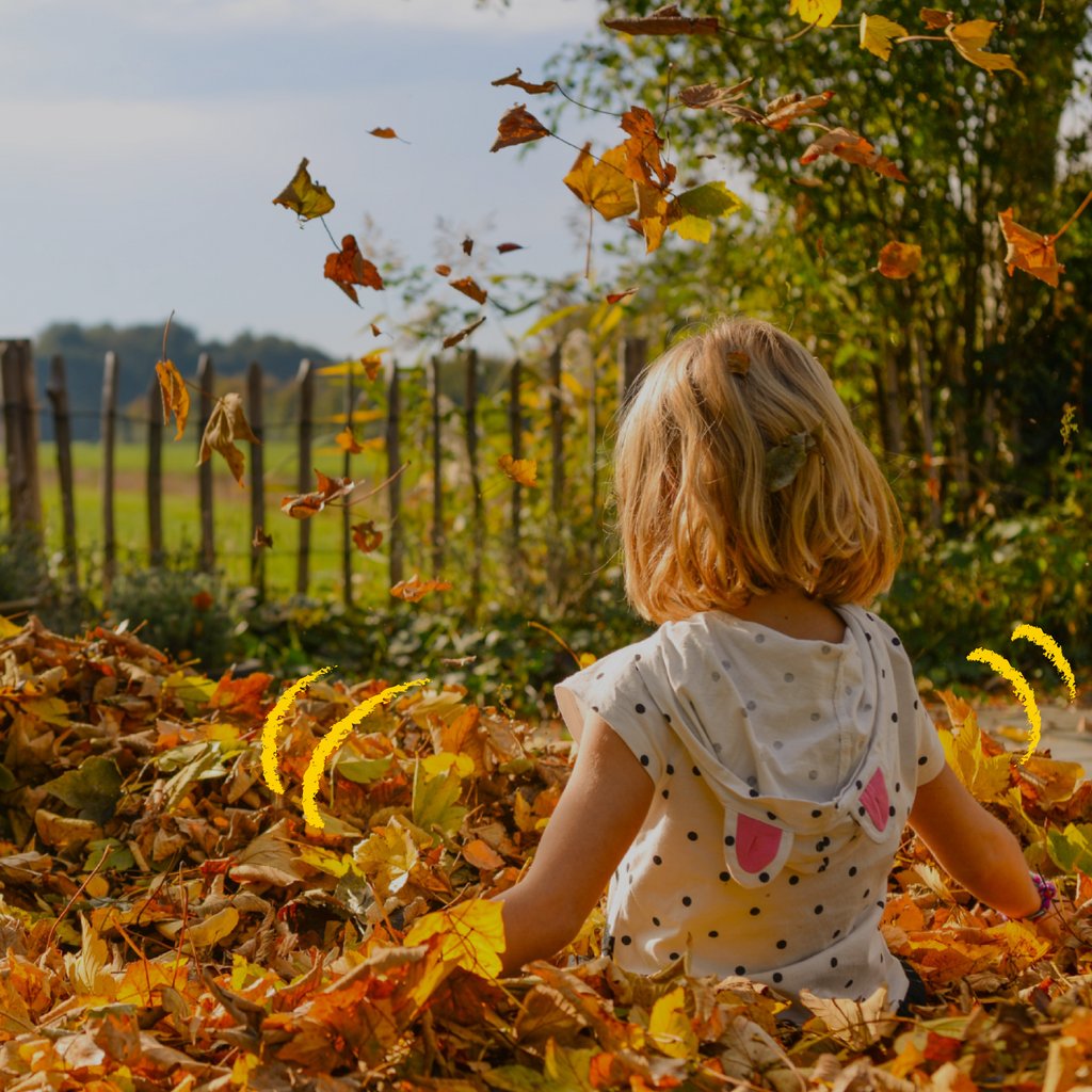 egg_dot_com's tweet photo. It’s official. Autumn is here. 🍂

Here’s to jumpers and cardigans, cosier evenings, pumpkin-spiced everything, and not an electric fan in sight.

#FirstDayOfAutumn https://t.co/vQFY9rk6Zf