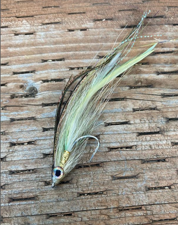 Saltwateronfly's tweet photo. Great looking pattern
@seafly907
Another favorite flatwing of mine containing 4 feathers off saddles I dyed. . #fishing #flyfising #flytying #seatrout #saltwaterflies #saltwaterflyfishing #beachfishing #stripedbass #flatwingflies #baitfish https://t.co/43RiyiUsn8