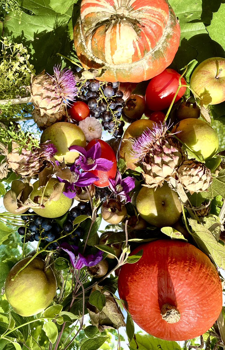 ginakranendonk's tweet photo. 21 september? maar in mijn stads โfoodjungleโ =het 21 oktoberโฆ overweldigende oogst โฆ#appels #peren #druiven #mispels #topinamboer #tomaten #pompoenen https://t.co/04bTQ2gWgt