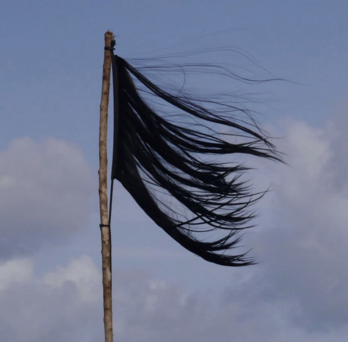 jin, jîyan, azadî

 #MahsaAmini