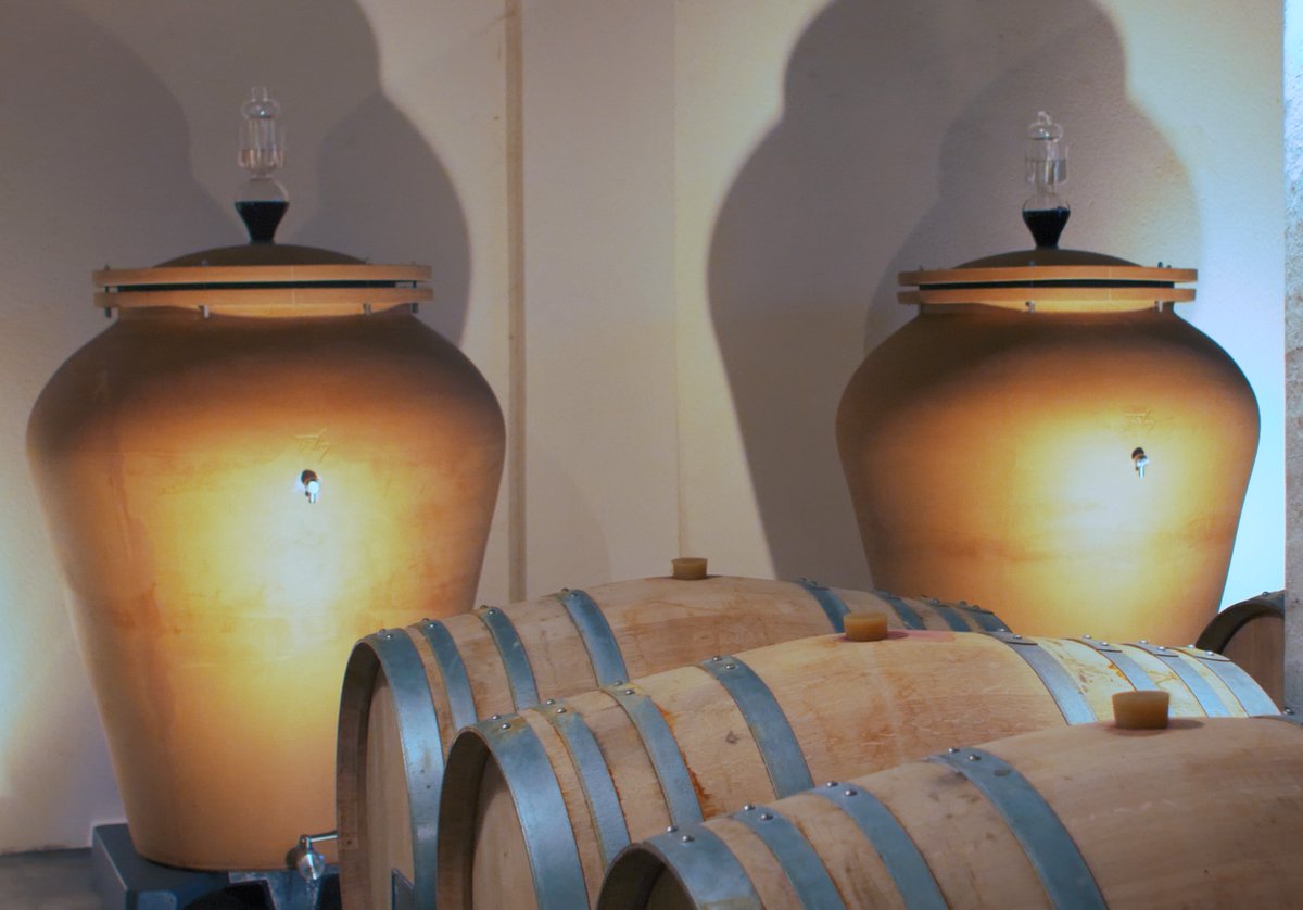 Passion for the Terroir "2022 an ORGANIC vintage"
A 100% CABERNET FRANC, fully vinified in terracotta jars will be made with barely crushed whole berries for 7 to 8 months, preserving the purity of expression of the grape Cabernet Franc and our terroir, without alteration.