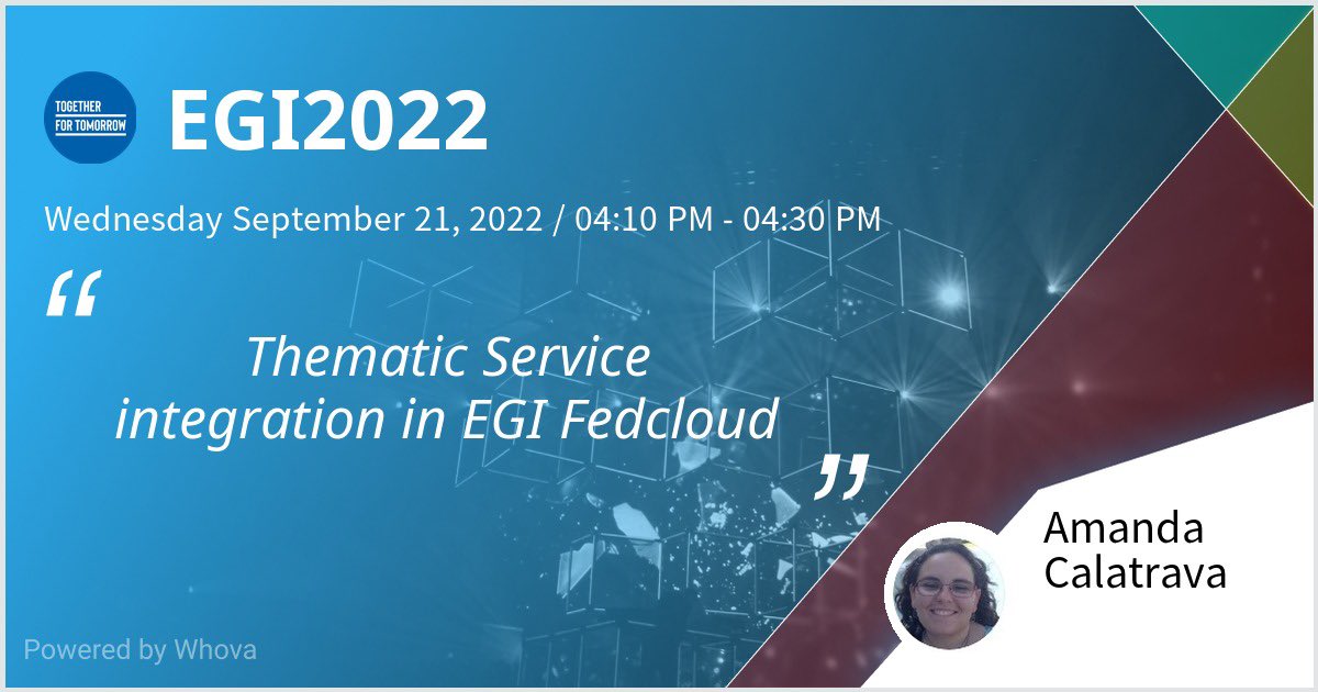 Amanda Calatrava tweet media