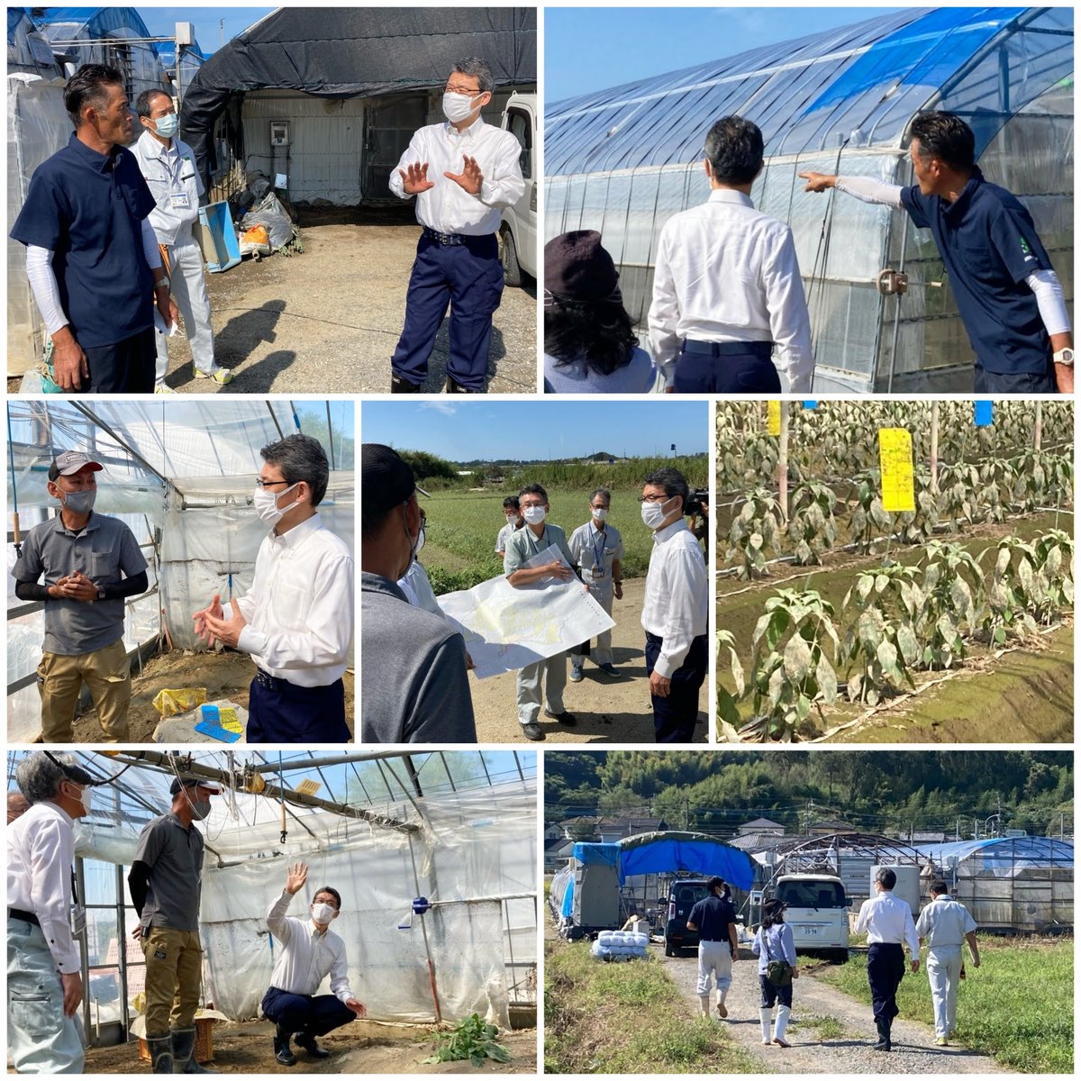 shunji_kouno's tweet photo. 台風第14号で被災した国富町及び西都市の農家を視察しました。

燃油や資材等の価格が高騰する中、台風災害に見舞われた農家に対し、しっかり復旧・復興の後押しをするのが行政の役割。

早期に被害状況を把握し、国や関係機関と連携して支援策を講じてまいります。

https://t.co/8TiZON3VtC https://t.co/VwHBQt0K4S