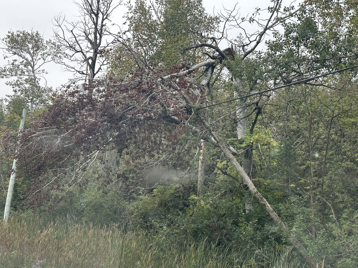 Jeff Roberts tweet media