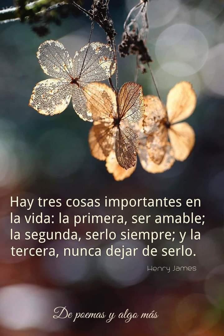 DelValleGreen's tweet photo. Bendecido día https://t.co/NCybuw0t5t