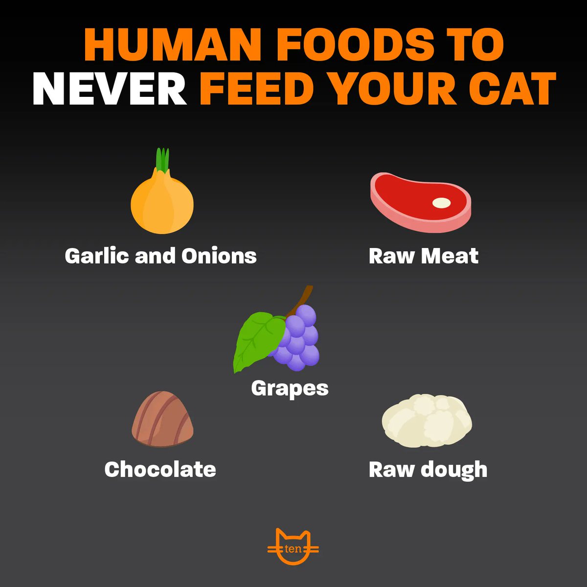 I will gladly accept filet mignon or salmon, though. 😼 Just sayin’.

#catcare #catcaretips #catownertips #catscatscats #cattips #catfacts #catownersclub #catlover