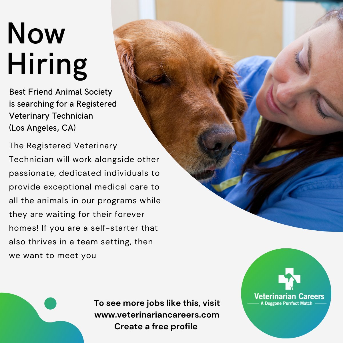 Best Friend Animal Society is hiring a veterinary technician in Los Angeles, CA.  Visit veterinariancareers.com to create a free profile and search for jobs like this.