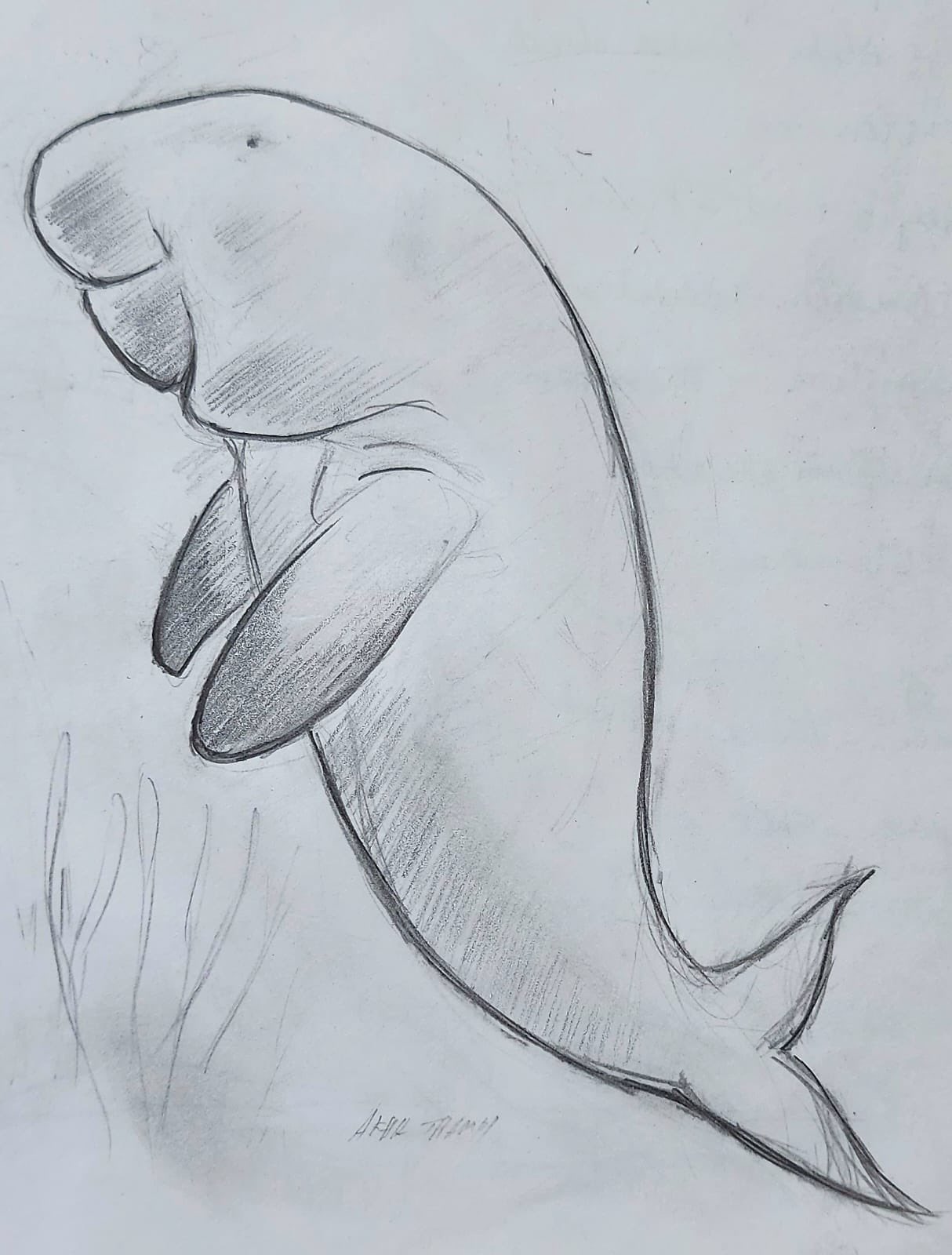 supriya-sahu-ias-on-twitter-india-s-first-dugong-conservation-reserve
