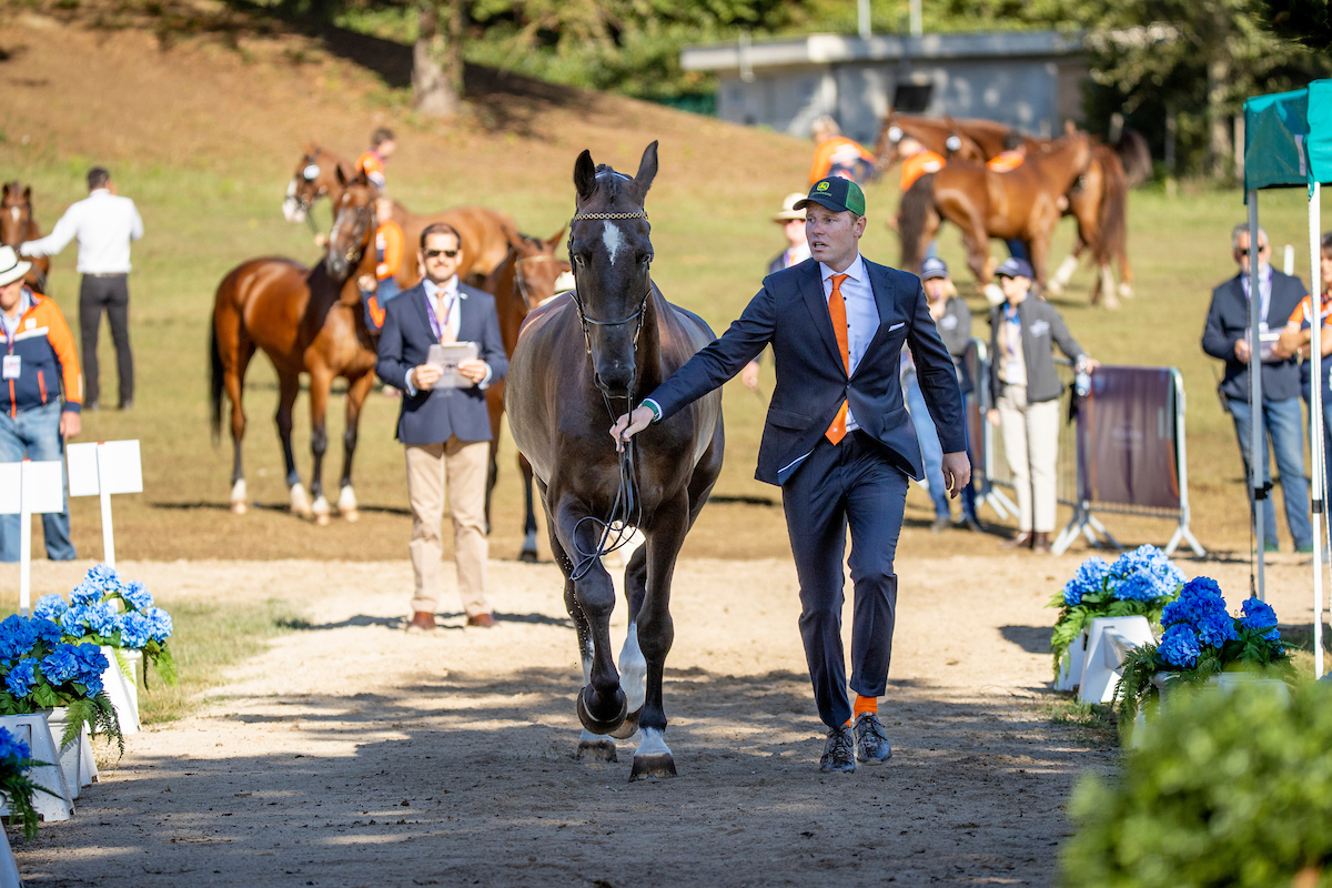 WK Vierspannen van start - bit.ly/3dwWcGk