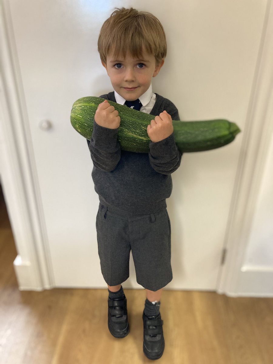 FalconsPrePrep's tweet image. What makes you happy? 😃 One of our students loves spending time on his allotment with his family. He has grown the most AMAZING marrow weighing 1.9kg!! 💪 😯 😋 

#gardening #greenfingers #relaxing #fun #education #falconspreprep #w4 #chiswick #hounslow #school