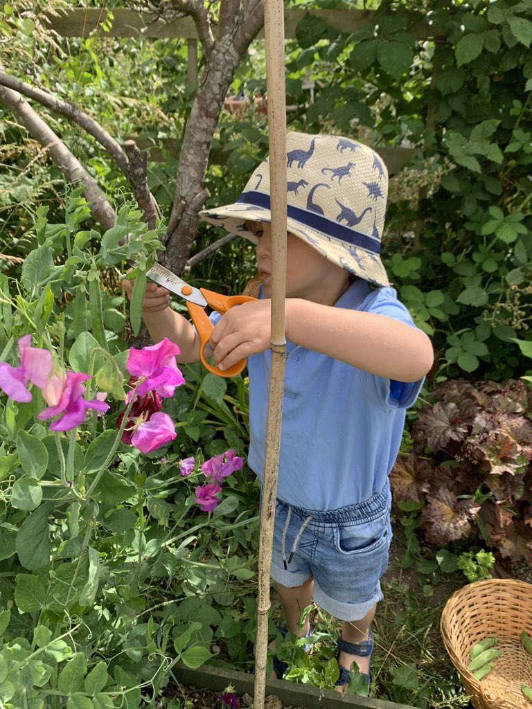 FalconsPrePrep's tweet image. What makes you happy? 😃 One of our students loves spending time on his allotment with his family. He has grown the most AMAZING marrow weighing 1.9kg!! 💪 😯 😋 

#gardening #greenfingers #relaxing #fun #education #falconspreprep #w4 #chiswick #hounslow #school