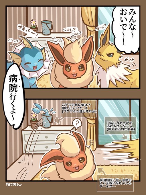 サンダース、ブースター、シャワーズ