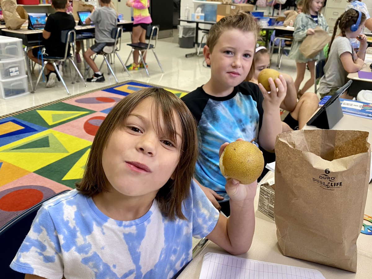 Kelsey Strelick tweet media