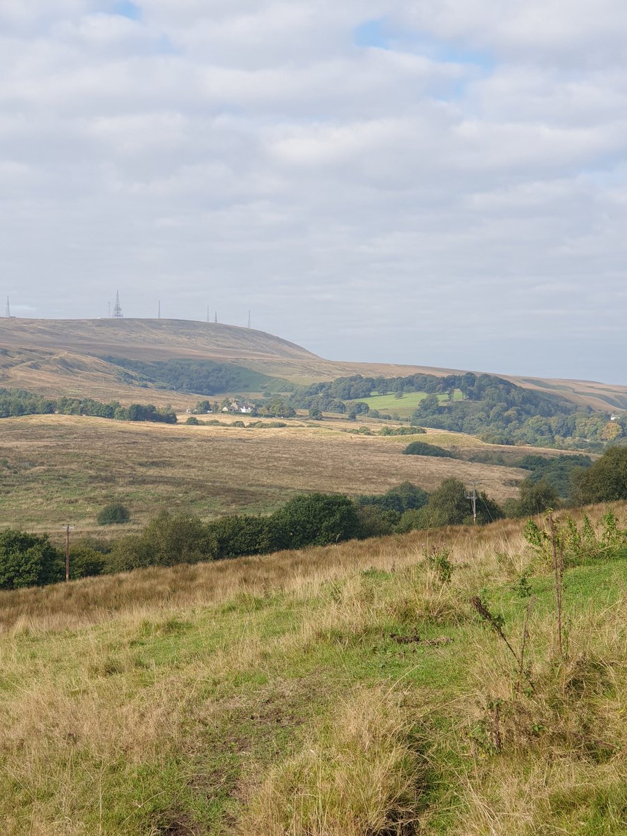 Garry Benson tweet media