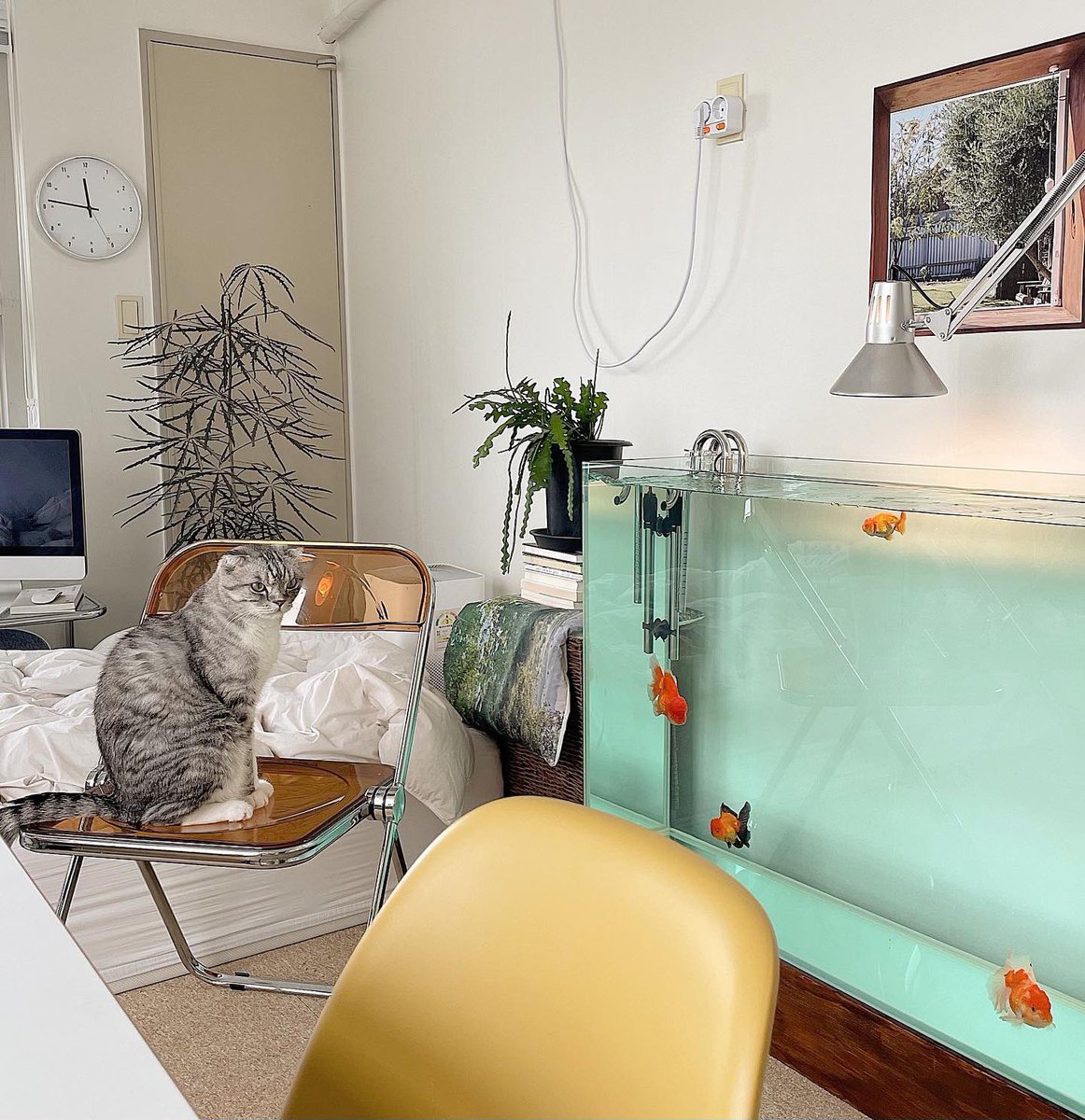 🫧🐠🤍🎄💫🐱🎏
𝗂𝗀 : 𝗓𝖺𝗆𝗓𝖺𝗆_𝗁𝗈𝗎𝗌𝖾_