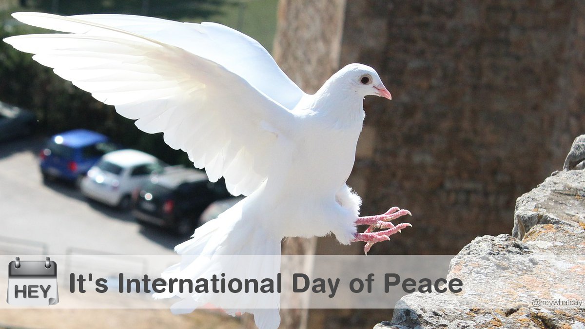 It's International Day of Peace! 
#InternationalDayOfPeace #WorldPeaceDay #DayOfPeace
