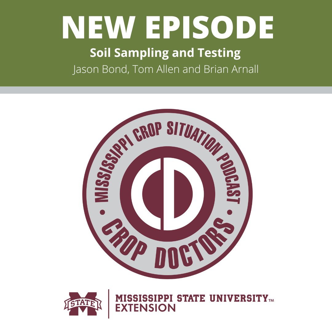 New episode alert🚨

👉Topic: Soil Sampling and Testing
🎙️Hosts/Guest: <a href="/JasonABond/">Jason Bond</a>, <a href="/baldpathologist/">Tom Allen</a> and <a href="/OSU_NPK/">Brian Arnall</a> 
☑️Listen and subscribe: ow.ly/rX9250KOyTx

#mscrops #MSUext