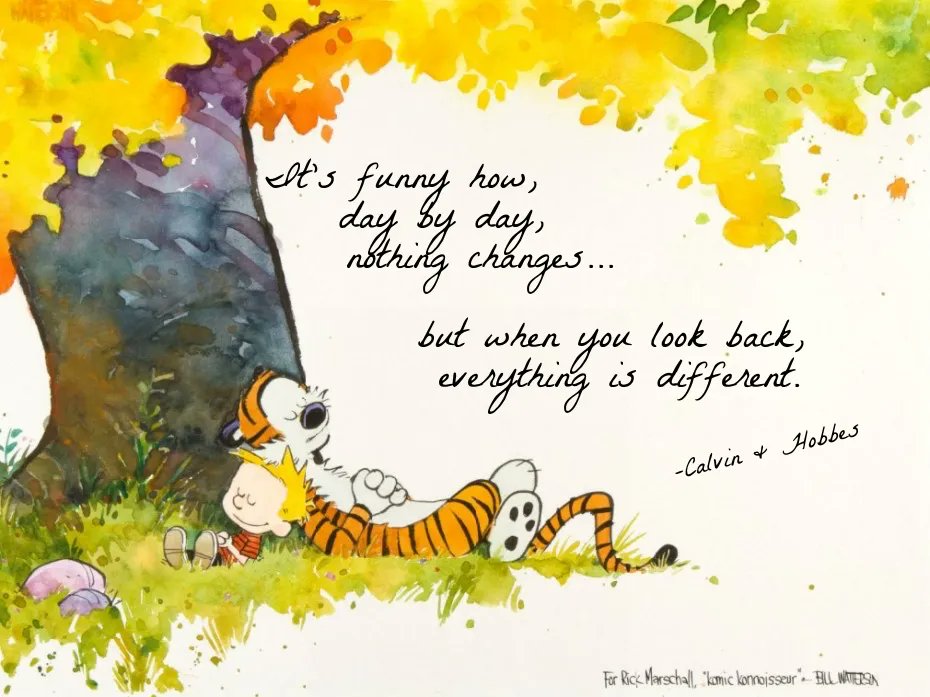 Calvin and Hobbes Fan Account tweet media