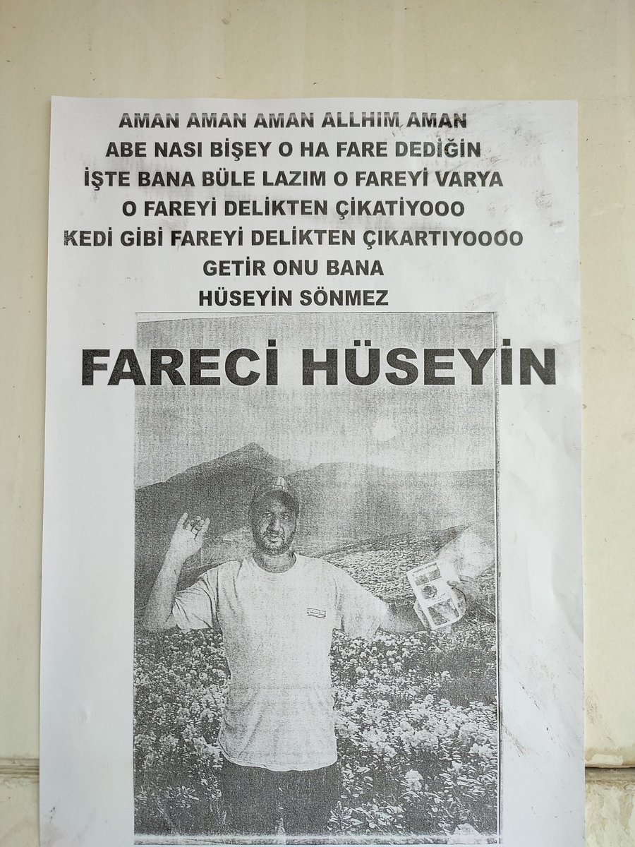 Ne yaptı bu fareler sana abii