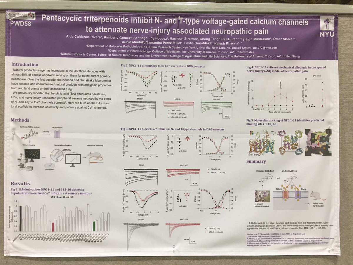 AIDA_CaRi's tweet image. Come to visit our poster today (PWD58 3:15 pm) @KhannaLabNYU @NYUPainResCtr @NYUDental