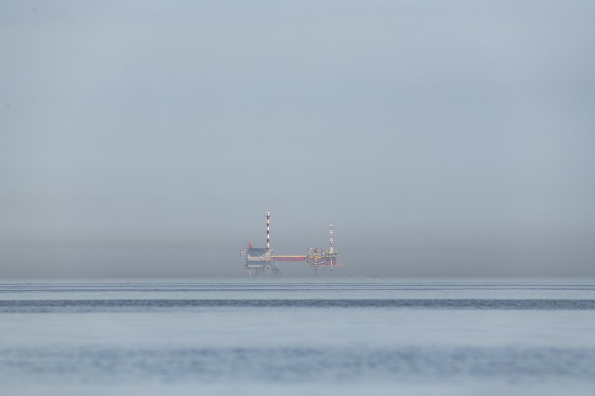 Wetenschappers waarschuwen: gasextractie onder de Waddenzee bedreigt dit kwetsbare ecosysteem. De 372 wetenschappers doen een oproep aan het kabinet om de Wadden te beschermen, de klimaatcrisis serieus te nemen en geen nieuwe vergunning te verlenen. 👉 bit.ly/3BAjP91
