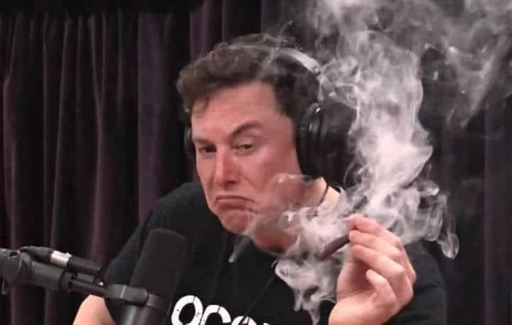 ChapoDoChong's tweet photo. "- maconha e coisa de vagabundo sem futuro"
Elon musk: https://t.co/QJaTm07Ebb