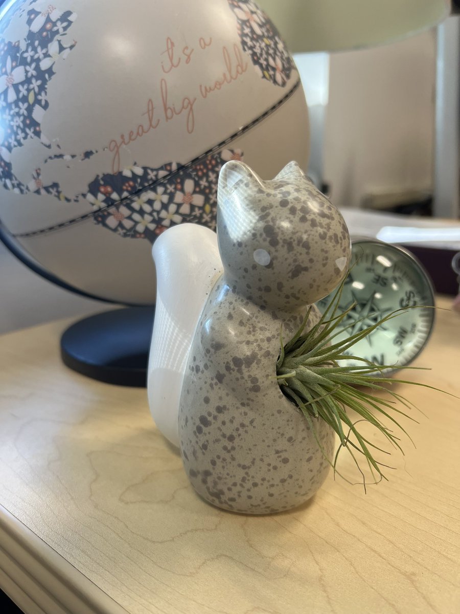 Megan Ward tweet media