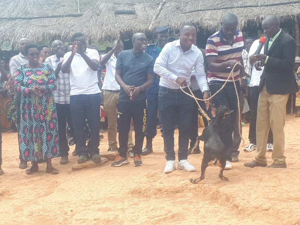 ABPInfos's tweet photo. #Burundi Le gouverneur de @RutanaProvince #Olivier_Nibitanga procédé ce mercredi à l'ouverture de 24 bureaux collinaires construits en commune #Musongati, sur la colline #Runyoni. En guise de remerciement, la population lui a offert une chèvre. https://t.co/0Kj4OUiobL