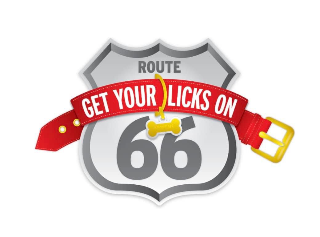 TODAY 𝐍𝐄𝐗𝐓 𝐓𝐎𝐔𝐑 𝐒𝐓𝐎𝐏𝐒 𝐈𝐋 – Come Meet FIDO and help our mission to give every dog a home &amp; leave NO Dog Behind®! 

𝟗/𝟐𝟏 - 𝐒𝐩𝐫𝐢𝐧𝐠𝐟𝐢𝐞𝐥𝐝, 𝐈𝐋 — 𝟏𝟏 𝐚𝐦 - 𝟑 𝐩𝐦
Petsmart 
3183 S. Veterans Pkwy.
Springfield, IL