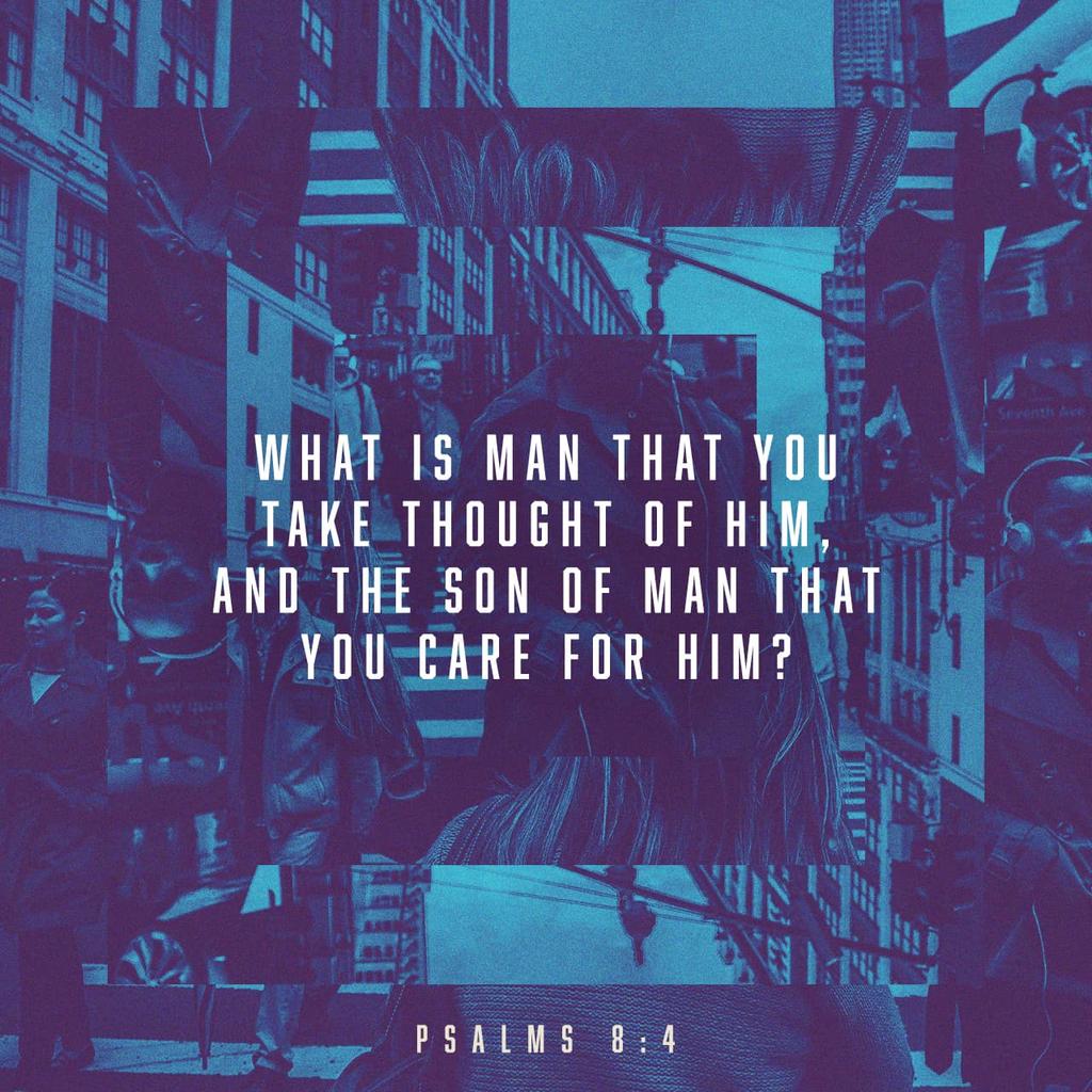 BishopABClaxton's tweet photo. When I consider thy heavens, the work of thy fingers, The moon and the stars, which thou hast ordained; What is man, that thou art mindful of him? And the son of man, that thou visitest him?
Psalm 8:3-4 KJV

https://t.co/NOUGJWPNAA https://t.co/jznohFcVAw