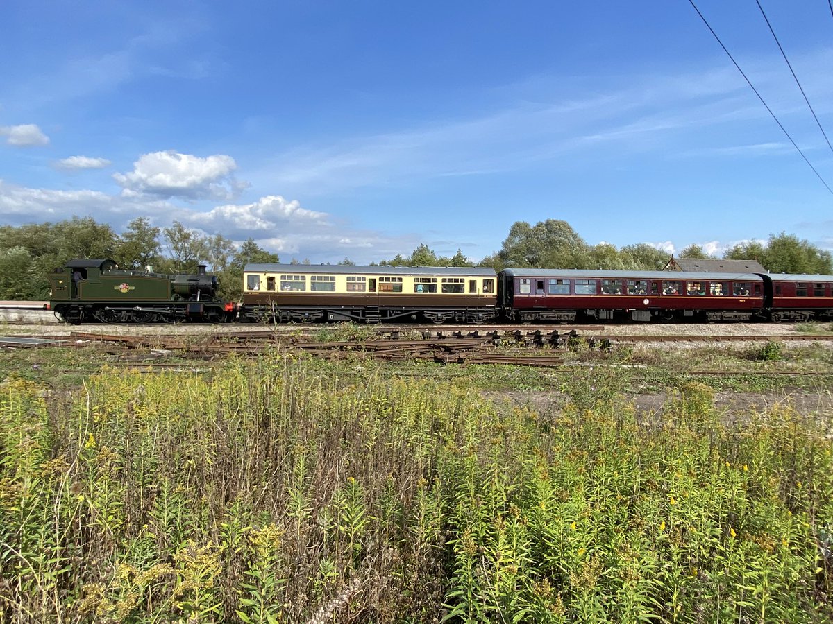 The Loyal Passenger tweet media