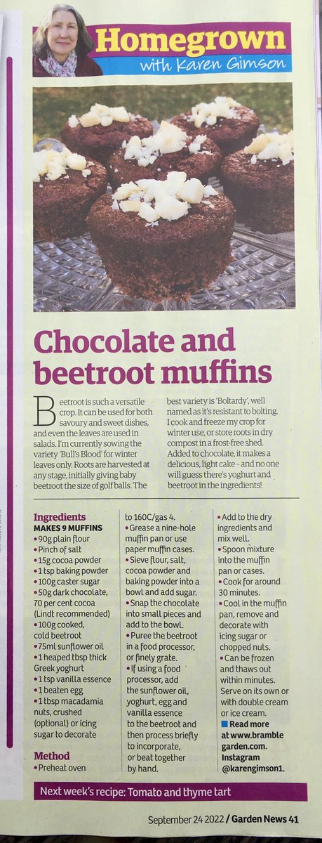 kgimson's tweet photo. Try these chocolate and beetroot muffins. They are so delicious. No one would know there’s beetroot or yoghurt in them. Recipe this week in ⁦@GardenNewsmag⁩ #gardeningtwitter #growyourown #cooking #growing #recipes https://t.co/nyA6Cm2VMo