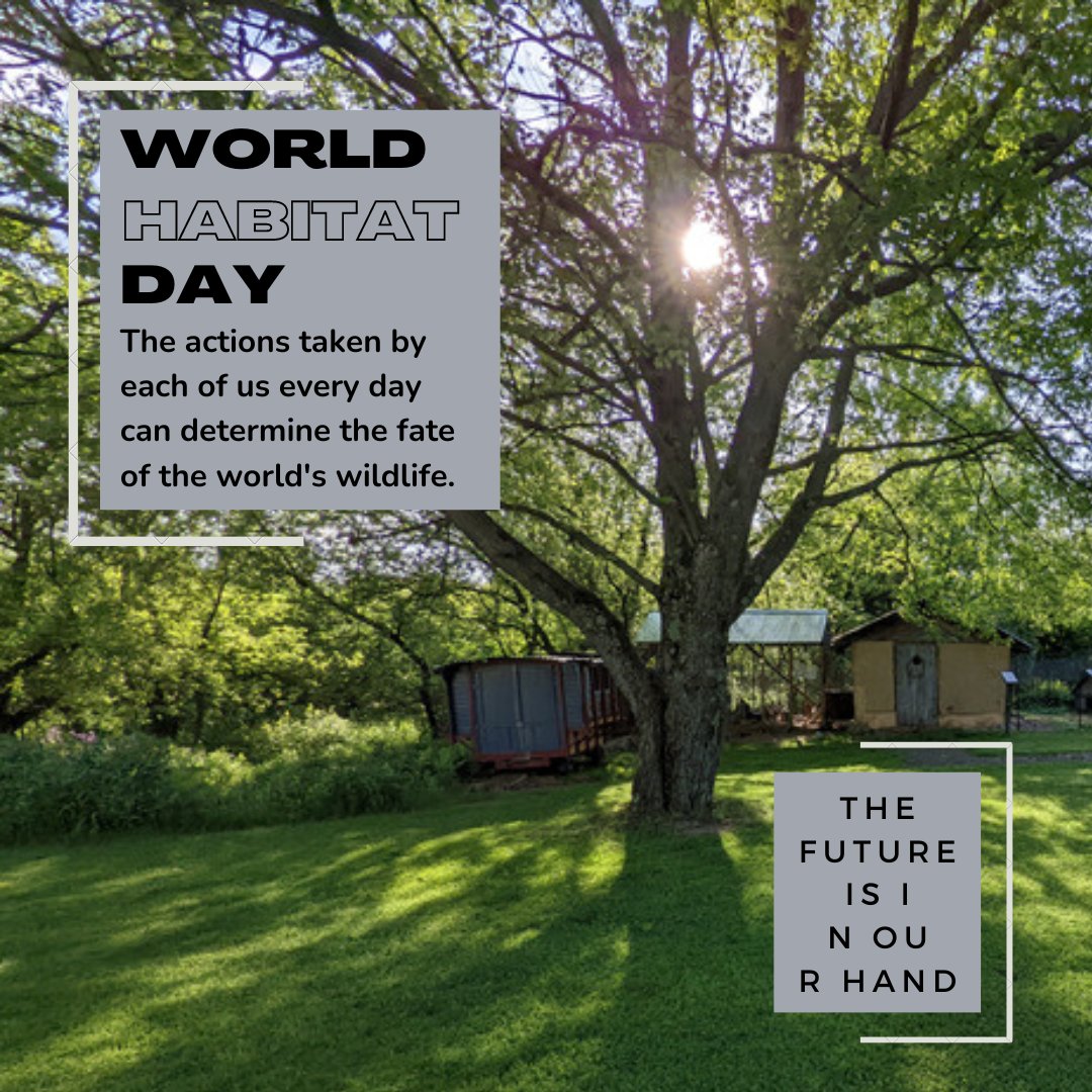 The first Monday of every October is World Habitat Day! The Macoskey Center contains habitats that all kinds of critters call home. We all have the power and the responsibility to shape the future! #MacoskeyCenter #SRU #Sustainability #WorldHabitatDay #Habitat