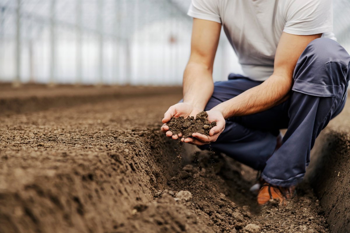regionetoscana's tweet photo. Agricoltura sociale: bando per l'annualità 2022. Il bando è stato prorogato, domande entro il 25 ottobre 2022: https://t.co/SyRVIKZgjT
#PSRToscana #fondieuropei
Il bando rientra nell'ambito di @giovanisi https://t.co/QlSKYioYrp