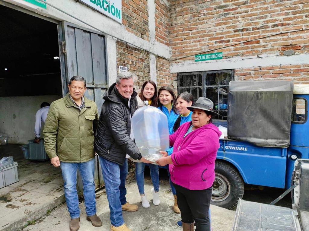 andresarens's tweet photo. @Produccion_Ecu a través del Proyecto #MCSAP entregó dotación de casi 70.000 alevines de trucha que benefician a más de 120 familias de Cañar, Chimborazo y Azuay, contribuyendo a la reactivación económica y soberanía alimentaria #GobiernoDelEncuentro https://t.co/gMSopIfRMa