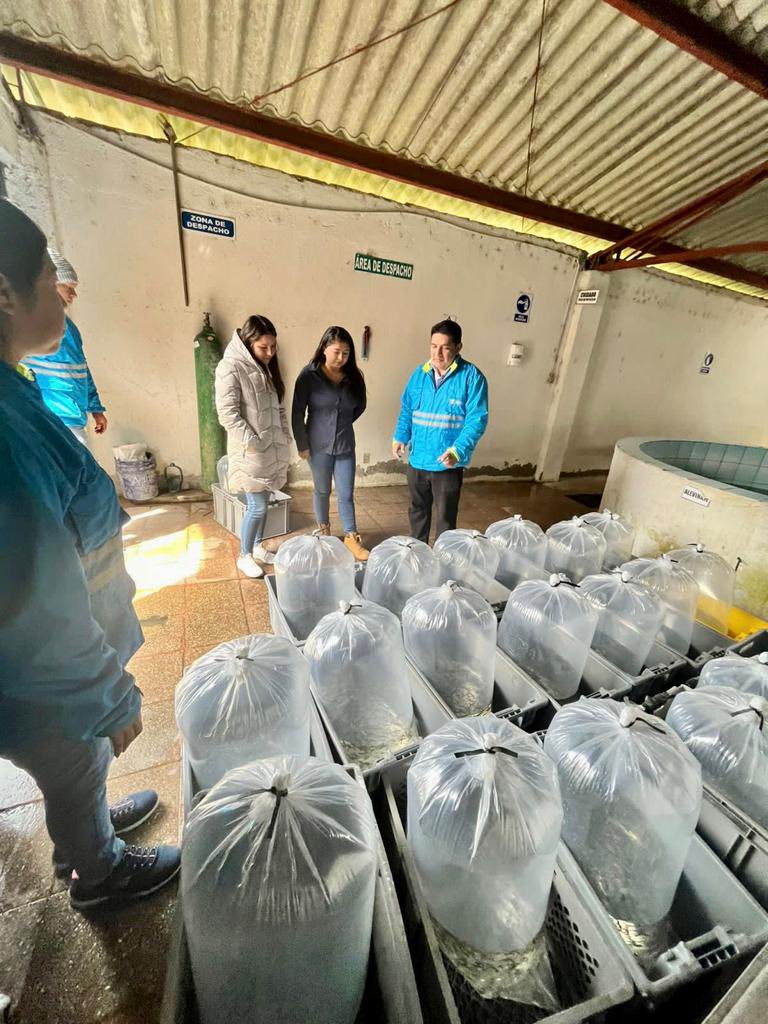 andresarens's tweet photo. @Produccion_Ecu a través del Proyecto #MCSAP entregó dotación de casi 70.000 alevines de trucha que benefician a más de 120 familias de Cañar, Chimborazo y Azuay, contribuyendo a la reactivación económica y soberanía alimentaria #GobiernoDelEncuentro https://t.co/gMSopIfRMa