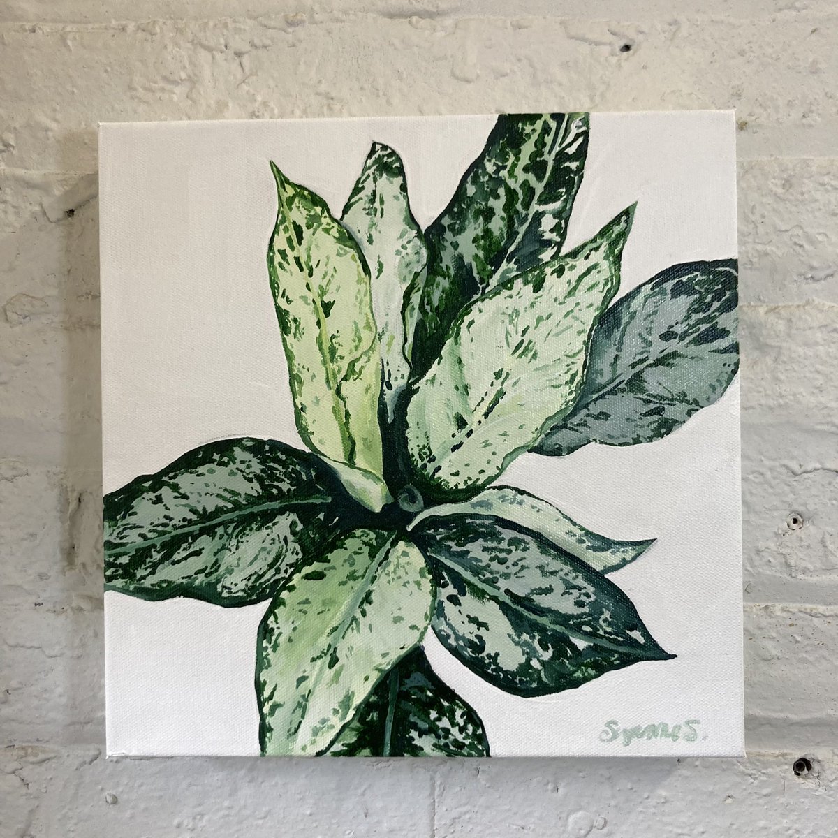 Suzoopainta's tweet photo. Original and prints available #art #ArtistOnTwitter #botanicalart #PLANTLOVER https://t.co/6D1uBp8fo0