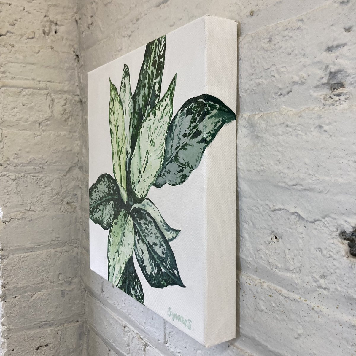 Suzoopainta's tweet photo. Original and prints available #art #ArtistOnTwitter #botanicalart #PLANTLOVER https://t.co/6D1uBp8fo0