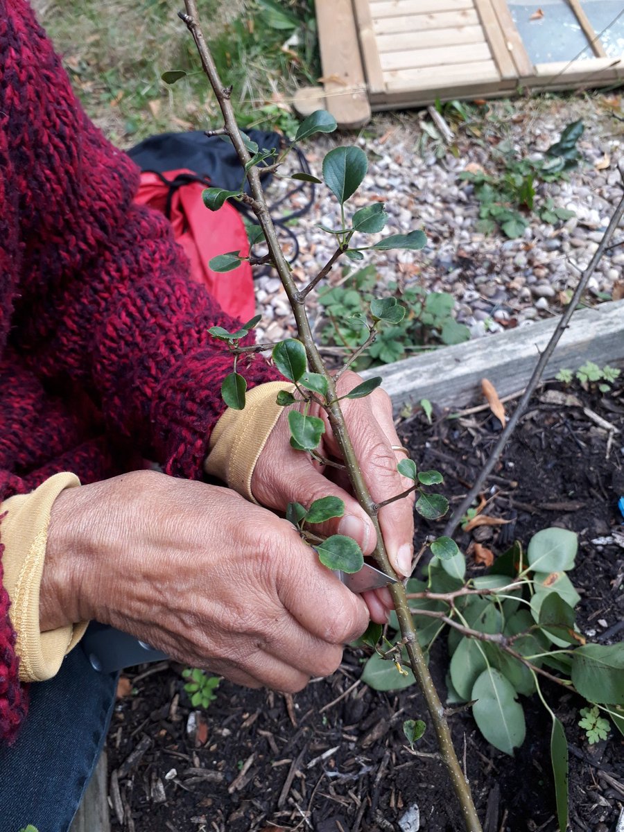 Let's Grow Together tweet media